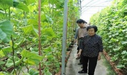 冷门吃瓜最新事件爆料是真的吗,最新爆料真相揭晓